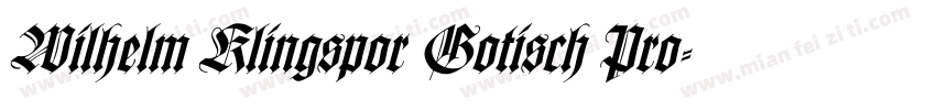 Wilhelm Klingspor Gotisch Pro字体转换